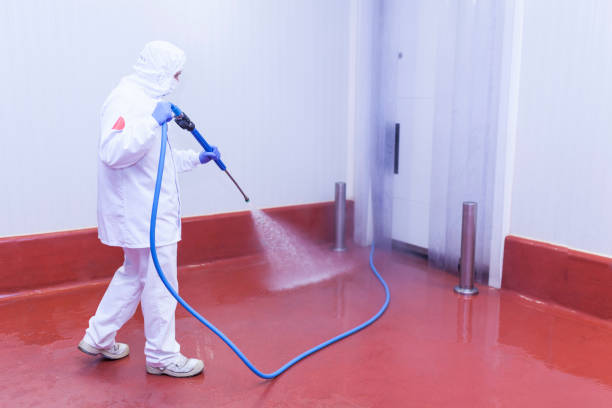 Best House Exterior Washing  in Groveland, FL