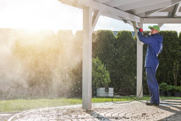 Animal Enclosure Cleaning in Groveland, FL